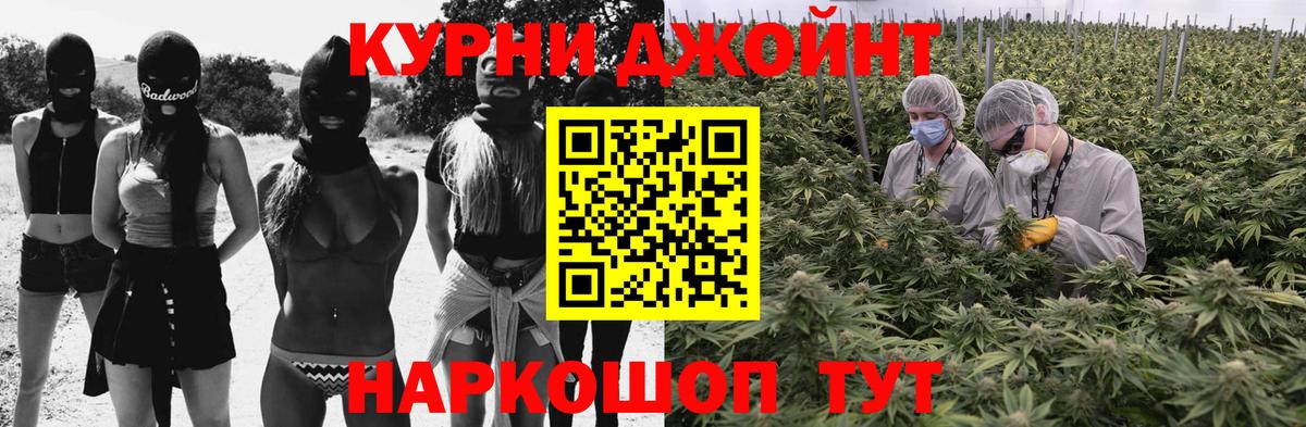 Конопля OG Kush Анапа